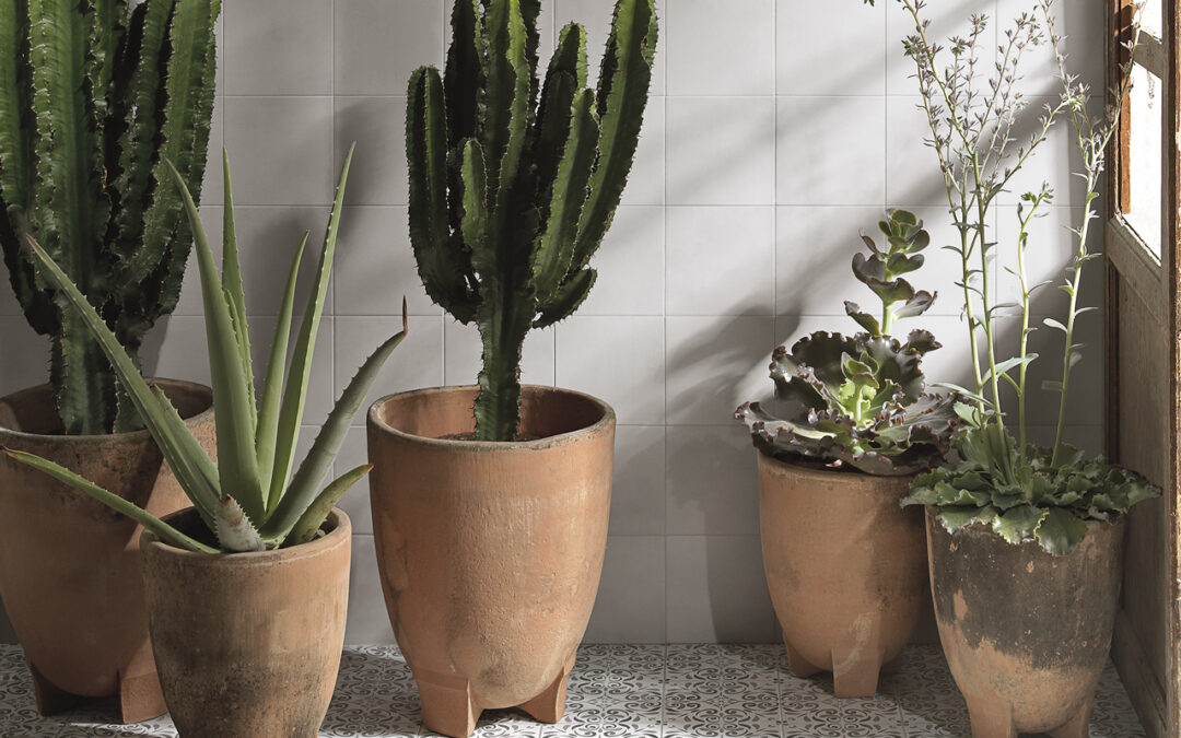 Tonalite – Aquarel